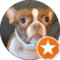 Gen D. Avatar